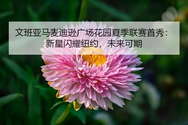 文班亚马麦迪逊广场花园夏季联赛首秀：新星闪耀纽约，未来可期